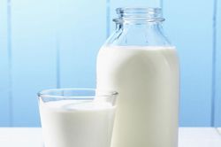 Giải oan cho chất béo từ sữa trong chuyển hóa lipid