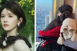 Triệu Lộ Tư tiết lộ nhiều chi tiết gây sốc về bạo hành trong cập nhật mới nhất