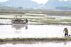Nông dân Nghệ An bám đồng, bám biển ngay từ đầu năm