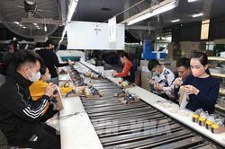 Cơ hội cho Việt Nam khi Anh gia nhập CPTPP