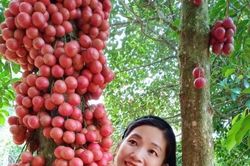 'Khơi chuyện' văn chương tinh tế cùng Lý Thị Thủy