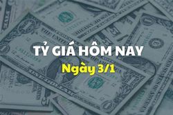 Tỷ giá hôm nay 3/1: Giá USD và NDT đảo chiều giảm nhẹ