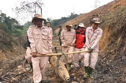 Quảng Bình: Xử lý an toàn quả bom trọng lượng 220kg tồn sót sau chiến tranh