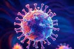 Bộ Y tế theo dõi chặt chẽ dịch bệnh do virus gây viêm phổi trên người tại Trung Quốc