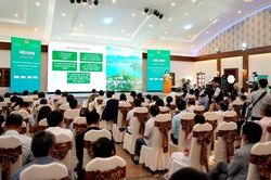 Liên kết vùng để tạo sức mạnh cho phát triển thương mại điện tử
