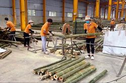 Lang Chánh thực hiện các chương trình trọng tâm, khâu đột phá
