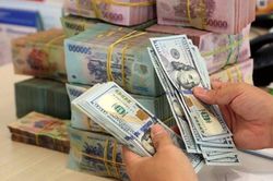 Tỷ giá USD năm 2024 tăng 5,03%, Ngân hàng Nhà nước đánh giá 'rất tích cực'