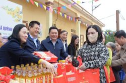 Thị xã Hoàng Mai tổ chức 'Xuân sớm, Tết sẻ chia' cho bệnh nhân phong và người nghèo
