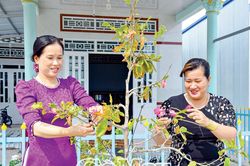 Niềm vui an cư