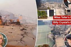 Thảm họa cháy rừng California: Nhiều sao Hollywood mất nhà, chỉ còn tro tàn và nỗi đau