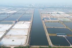 Người nuôi tôm Quỳnh Lưu mòn mỏi chờ dự án cấp nước biển