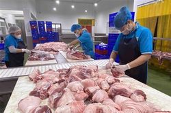 Những thiếu hụt dinh dưỡng đáng lo từ chế độ ăn toàn thịt