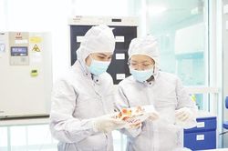 Tăng cường hợp tác, đào tạo nguồn nhân lực chất lượng cao