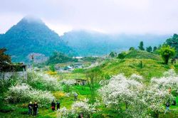 Những 'điểm hẹn mùa Xuân' ở Nghệ An