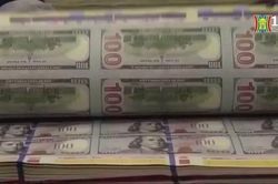 FED có thể gặp rủi ro từ chính sách hạ lãi suất