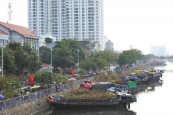 Góc nhìn 365: Nét đẹp chợ hoa Xuân