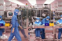 Số vụ phá sản doanh nghiệp ở Nhật Bản cao nhất trong 11 năm