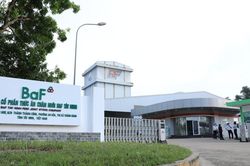 BAF Việt Nam mở rộng đế chế, thâu tóm hàng loạt công ty chăn nuôi