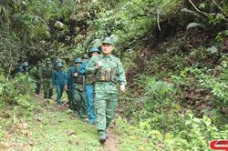 Giữ bình yên để nhân dân vui xuân, đón tết