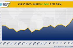 Thị trường hàng hóa: Giá dầu thô phá mốc 81 USD/thùng