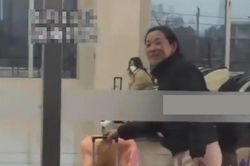 Mẹ 'tay xách nách mang' đi hơn 600km thăm con gái lấy chồng xa