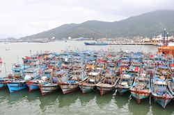 Ngư dân tất bật vươn khơi, bảo đảm cung ứng hải sản dồi dào
