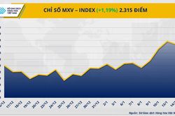 Chỉ số MXV-Index quay đầu leo lên mức cao nhất trong hơn 7 tháng