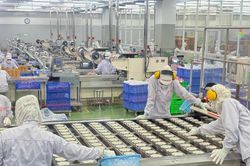 TPHCM: Nhiều hoạt động chăm lo Tết cho người lao động