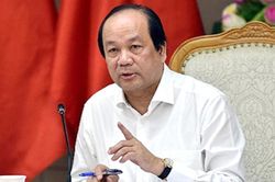 Cựu Chủ nhiệm Văn phòng Chính phủ Mai Tiến Dũng hầu tòa
