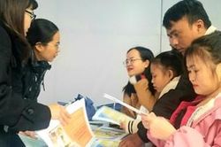 Đẩy mạnh các hoạt động tư vấn, giới thiệu việc làm cho người lao động