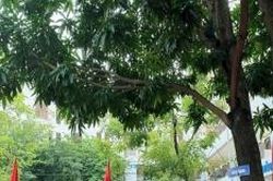 Thưởng Tết giáo viên: Động lực và sự ghi nhận đối với người thầy