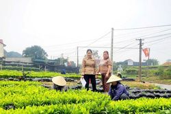 Trao sinh kế, tạo động lực cho đồng bào miền núi Nghệ An