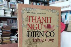Về thành ngữ 'Nhất mục thập hàng'