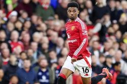 Dự đoán tỷ số MU vs Brighton: Cuộc chiến cân não tại Old Trafford