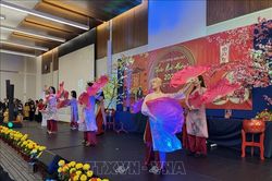 Chương trình Xuân quê hương giúp gắn kết cộng đồng người Việt tại Mỹ