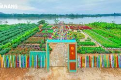 Check-in 'Cẩm Lệ xanh'