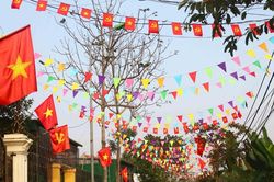 Làng quê Nghệ An rực rỡ cờ hoa mừng Đảng, mừng Xuân