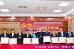 33 đảng viên Đảng bộ Khối CCQ&DN Hà Tĩnh nhận huy hiệu Đảng