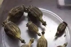 Bị mắng, con trai gọi điện báo cảnh sát cha tàng trữ ma túy