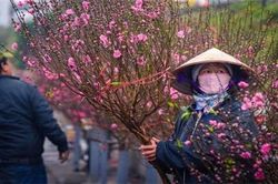 Dự báo cụ thể thời tiết 9 ngày nghỉ Tết Nguyên đán 2025 cả 3 miền Bắc - Trung - Nam