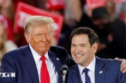 Thượng viện Mỹ phê chuẩn ông Marco Rubio làm Ngoại trưởng