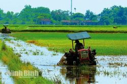 Chuẩn bị chu đáo cho vụ lúa Đông xuân