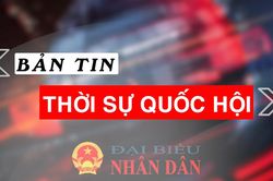 Bản tin Thời sự Quốc hội ngày 21.01.2025