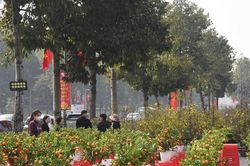 Thời tiết Nghệ An ngày 25/1: Sáng sớm và đêm trời rét