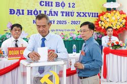Tập trung cho đại hội điểm đảng bộ phường, xã