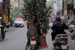 5 lỗi vi phạm giao thông dễ mắc dịp Tết Nguyên đán 2025 đối với xe máy cùng mức phạt, ai cũng nên biết để tránh mất tiền