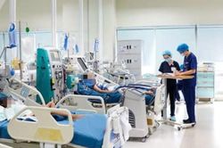 Cứu sống bệnh nhi người Australia mắc sốt rét ác tính, suy đa cơ quan