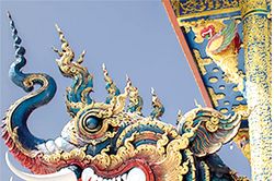 Nghệ thuật quyến rũ rắn của Ấn Độ