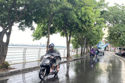 Thời tiết hôm nay, 26/1: Miền Bắc rét đậm, mưa rào rải rác