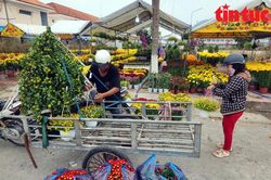Chợ hoa Xuân vùng biên An Giang nhộn nhịp ngày cận Tết